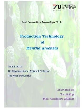 Crop Production Technology (1+1)
Production Technology
of
Mentha arvensis
Submitted to
Dr. Biswapati Sinha, Assistant Professor,
The Neotia University
Submitted by
Souvik Roy
B.Sc. Agriculture Student
 