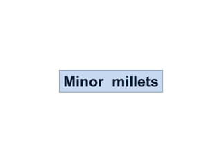 Minor millets
 