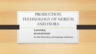 PRODUCTION
TECHNOLOGY OF NERIUM
AND IXORA
K.MANIRAJ
ID:NO:2017603107
Ist- Msc Floriculture and Landscape architecture
 