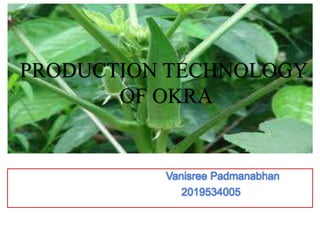 PRODUCTION
TECHNOLOGY OF
OKRA
Vanisree Padmanabhan
2019534005
PRODUCTION TECHNOLOGY
OF OKRA
 