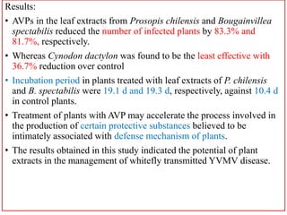 Production technology of okra | PPTX