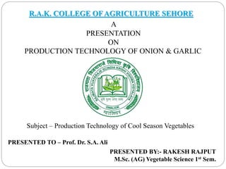 R.A.K. COLLEGE OF AGRICULTURE SEHORE
A
PRESENTATION
ON
PRODUCTION TECHNOLOGY OF ONION & GARLIC
PRESENTED TO – Prof. Dr. S.A. Ali
PRESENTED BY:- RAKESH RAJPUT
M.Sc. (AG) Vegetable Science 1st Sem.
Subject – Production Technology of Cool Season Vegetables
 