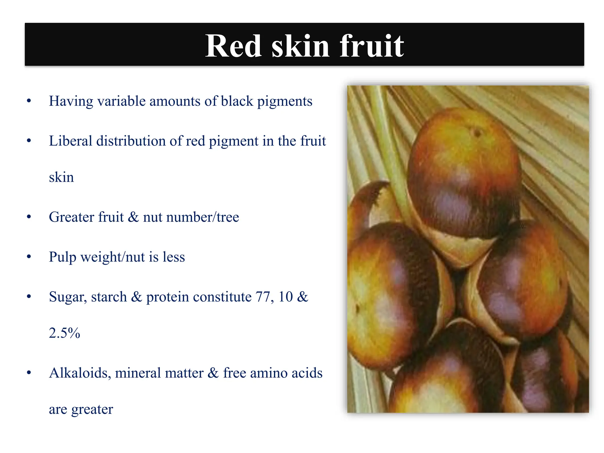 Production Technology of Palmyrah (Borassus flabellifer L) | PDF