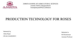 PRODUCTION TECHNOLOGY FOR ROSES
Submitted by
Athira Rajan
CB.AG.U4AGR20015
Submitted to
Dr.S.Kumeresan
Assistant Professor
AMRITA SCHOOL OF AGRICULTURAL SCIENCES​
(Amrita Vishwa Vidyapeetham)​
Arsampalayam(PO),Coimbatore​
 