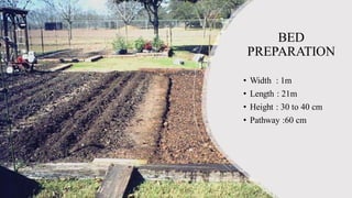 PRODUCTION TECHNOLOGY OF ROSES.pdf