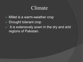 Millets Climate Production technology of sorghum pearl millet and shaftal | PPTX