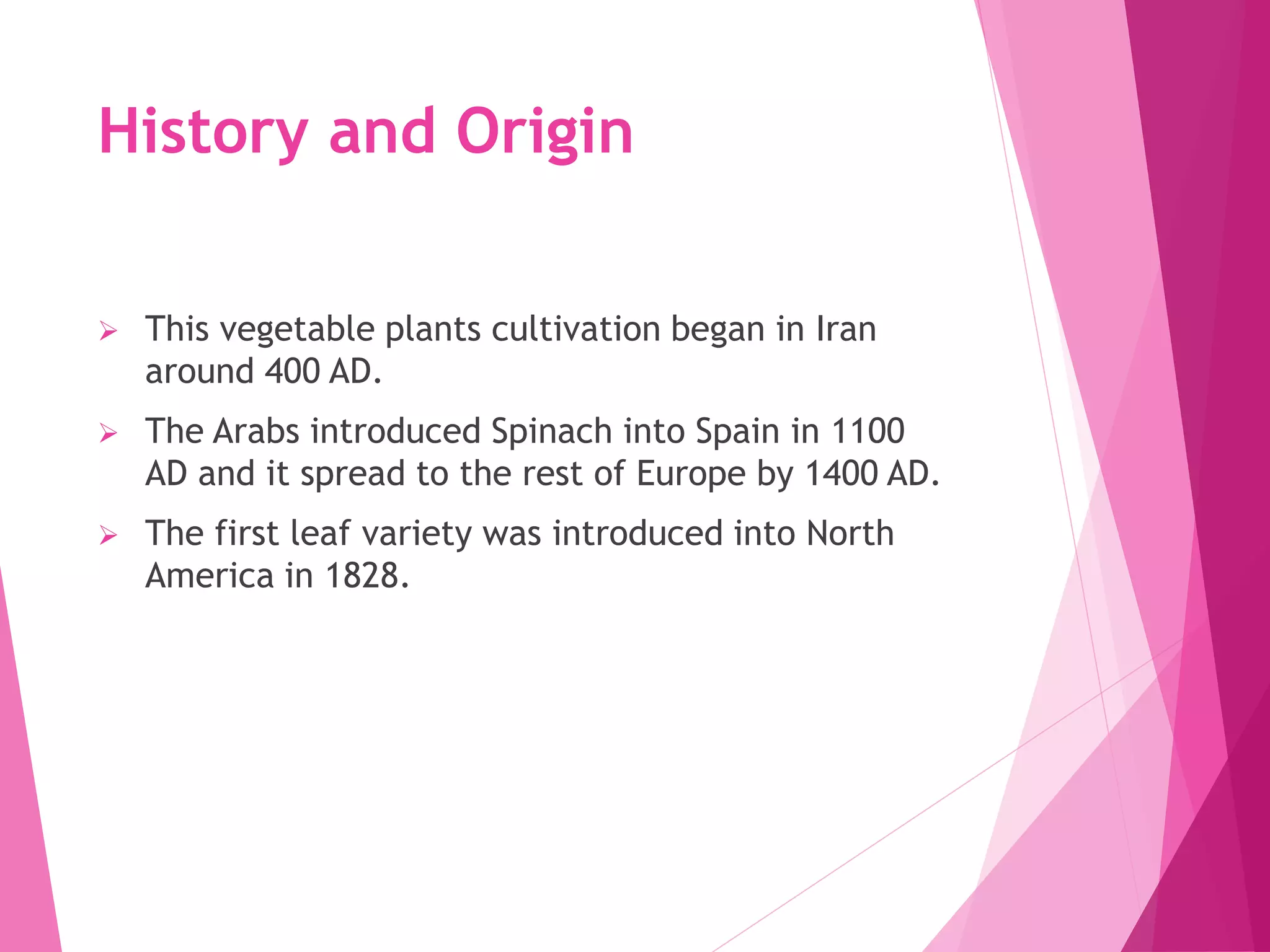 History and Origin
 This vegetable plants cultivation began in Iran
around 400 AD.
 The Arabs introduced Spinach into Spain in 1100
AD and it spread to the rest of Europe by 1400 AD.
 The first leaf variety was introduced into North
America in 1828.
 