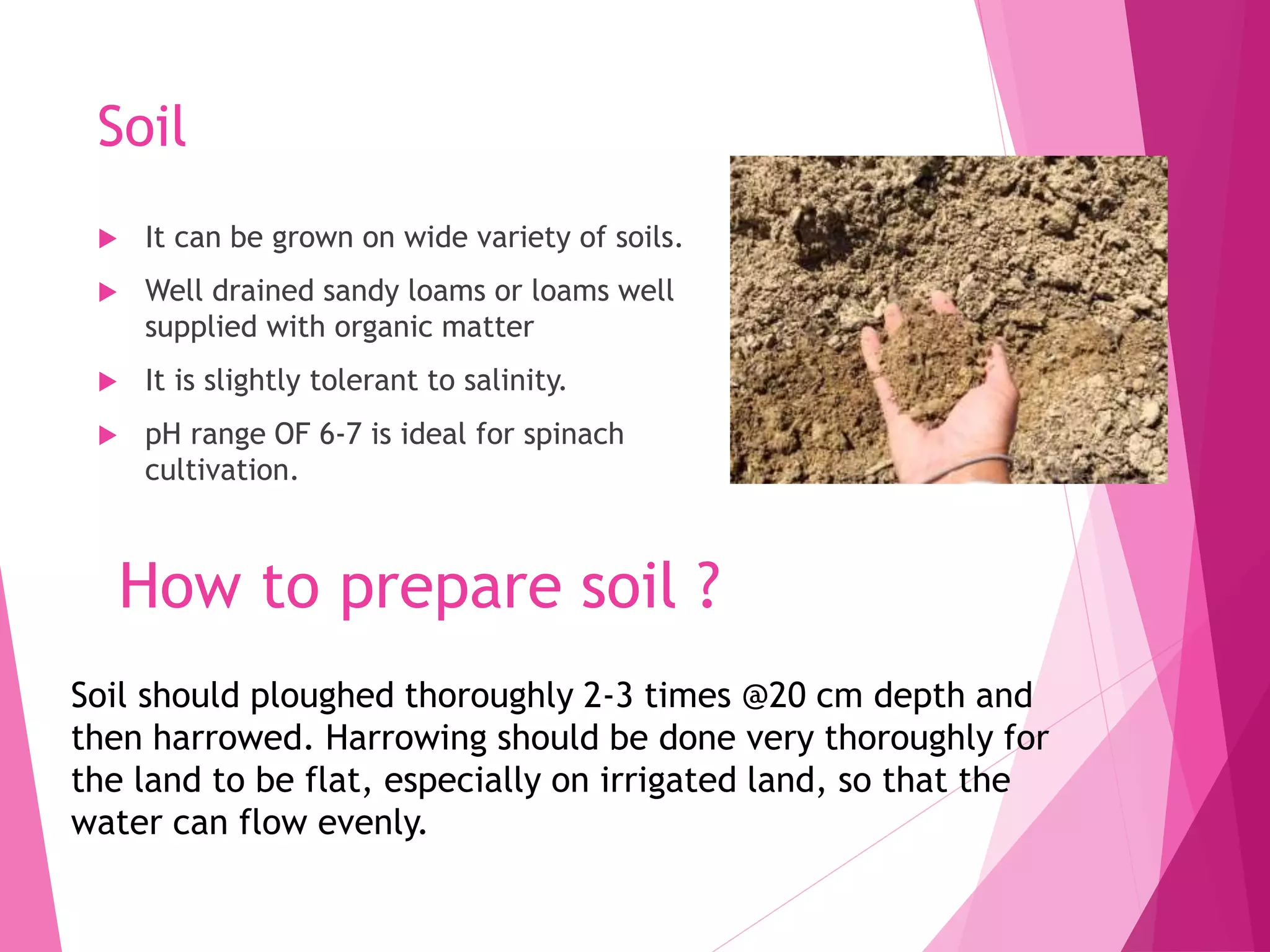 Soil
 It can be grown on wide variety of soils.
 Well drained sandy loams or loams well
supplied with organic matter
 It is slightly tolerant to salinity.
 pH range OF 6-7 is ideal for spinach
cultivation.
How to prepare soil ?
Soil should ploughed thoroughly 2-3 times @20 cm depth and
then harrowed. Harrowing should be done very thoroughly for
the land to be flat, especially on irrigated land, so that the
water can flow evenly.
 