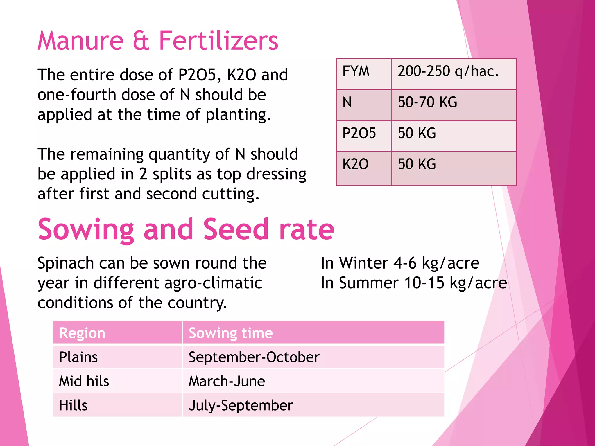 Manure & Fertilizers
FYM 200-250 q/hac.
N 50-70 KG
P2O5 50 KG
K2O 50 KG
The entire dose of P2O5, K2O and
one-fourth dose of N should be
applied at the time of planting.
The remaining quantity of N should
be applied in 2 splits as top dressing
after first and second cutting.
Sowing and Seed rate
Region Sowing time
Plains September-October
Mid hils March-June
Hills July-September
Spinach can be sown round the
year in different agro-climatic
conditions of the country.
In Winter 4-6 kg/acre
In Summer 10-15 kg/acre
 