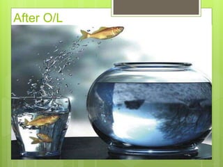 After O/L
 