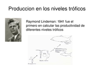 productividad-ppt