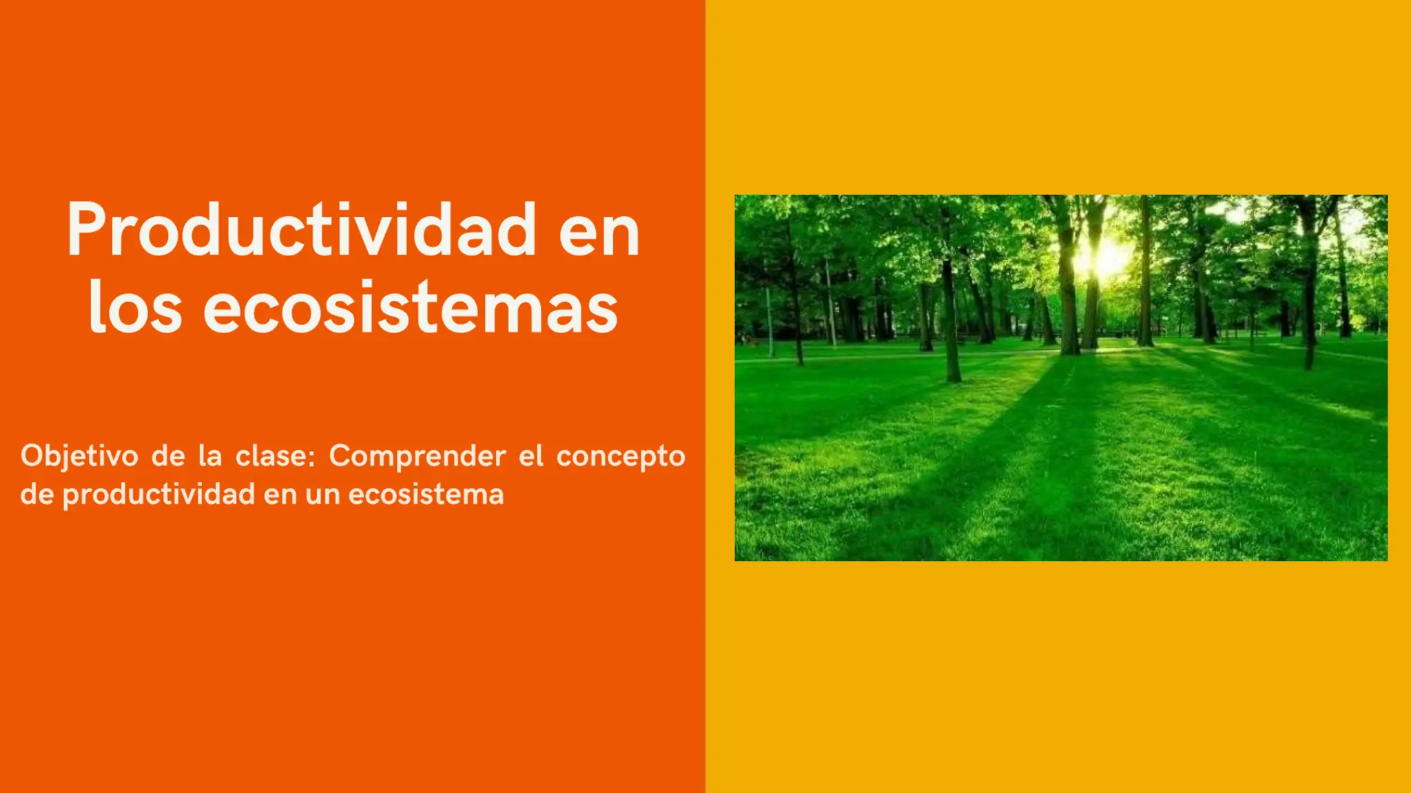 Productividad en los ecosistemas .pptx