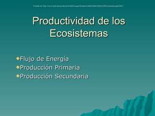 Productividad de los Ecosistemas ,[object Object],[object Object],[object Object],Tomado de: http://www.upch.edu.pe/facien/fc/dcbf/ecogen/Productividad%20de%20los%20Ecosistemas.ppt#260,1 