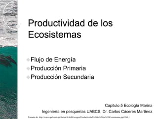 Productividad de los Ecosistemas ,[object Object]