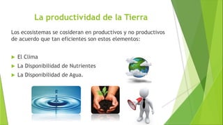 La productividad de la Tierra
Los ecosistemas se cosideran en productivos y no productivos
de acuerdo que tan eficientes son estos elementos:
 El Clima
 La Disponibilidad de Nutrientes
 La Disponibilidad de Agua.
 