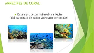 ARRECIFES DE CORAL
 Es una estructura subacuática hecha
del carbonato de calcio secretado por corales.
 
