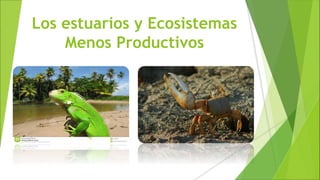 Los estuarios y Ecosistemas
Menos Productivos
 