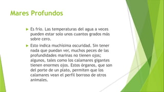 Mares Profundos
 Es frío. Las temperaturas del agua a veces
pueden estar solo unos cuantos grados más
sobre cero.
 Esto indica muchísima oscuridad. Sin tener
nada que puedan ver, muchos peces de las
profundidades marinas no tienen ojos;
algunos, tales como los calamares gigantes
tienen enormes ojos. Estos órganos, que son
del porte de un plato, permiten que los
calamares vean el perfil borroso de otros
animales.
 