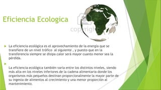 Eficiencia Ecologica
 La eficiencia ecológica es el aprovechamiento de la energía que se
transfiere de un nivel trófico al siguiente , y puesto que en la
transferencia siempre se disipa calor será mayor cuanto menor sea la
pérdida.

La eficiencia ecológica también varía entre los distintos niveles, siendo
más alta en los niveles inferiores de la cadena alimentaria donde los
organismos más pequeños destinan proporcionalmente la mayor parte de
su ingesta de alimentos al crecimiento y una menor proporción al
mantenimiento.
 