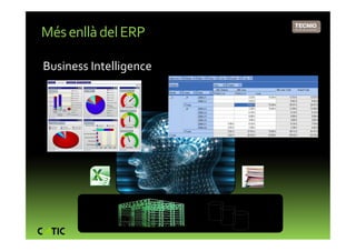 Més enllà del ERP

Business Intelligence




                        +
 