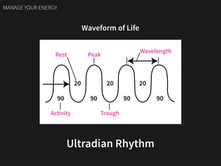 Waveform of Life
Ultradian Rhythm
Activity
Peak
Wavelength
Rest
90
20 20 20
90 90 90
Trough
MANAGE YOUR ENERGY
 