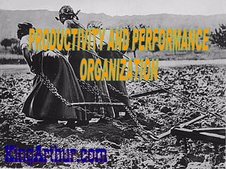 Productivity and Performance - TRAINING