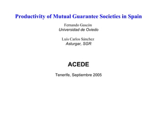 Productivity of Mutual Guarantee Societies in Spain Fernando Gascón   Universidad de Oviedo Luís Carlos Sánchez  Asturgar, SGR ACEDE Tenerife, Septiembre 2005 