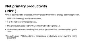 Understanding Ecosystem Productivity: Primary and Secondary Processes ...