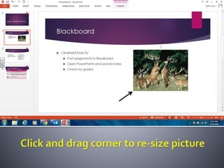 Productivity programs powerpoint assignment