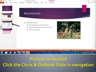 Productivity programs powerpoint assignment
