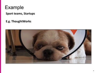Example
.
Sport teams, Startups
E.g. ThoughtWorks
 