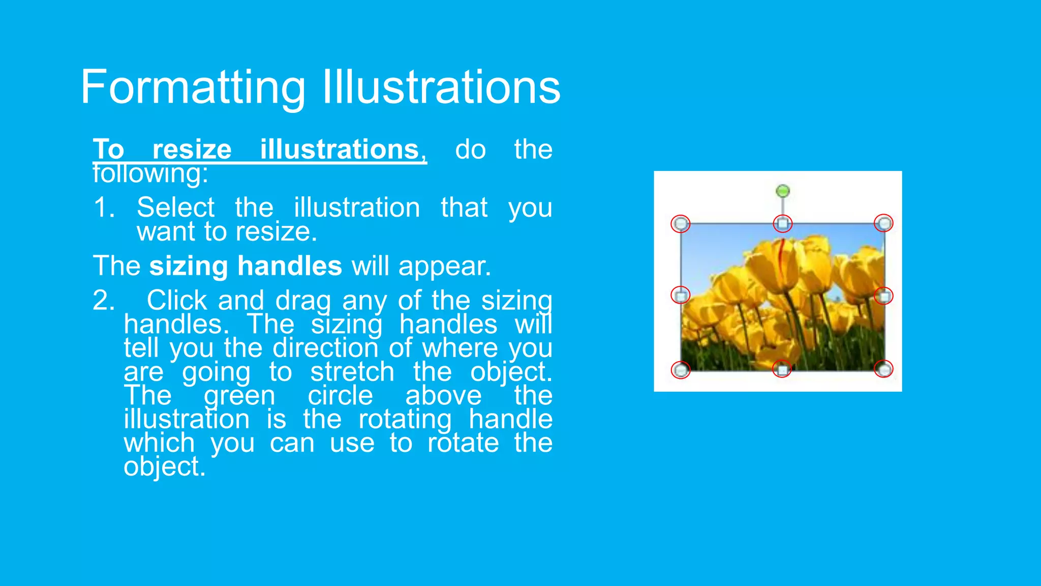 Formatting Illustrations
To resize illustrations, do the
following:
1. Select the illustration that you
want to resize.
The sizing handles will appear.
2. Click and drag any of the sizing
handles. The sizing handles will
tell you the direction of where you
are going to stretch the object.
The green circle above the
illustration is the rotating handle
which you can use to rotate the
object.
 