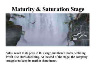Maturity & Saturation Stage
Sales reach to its peak in this stage and then it starts declining.
Profit also starts declining. At the end of the stage, the company
struggles to keep its market share intact.
 