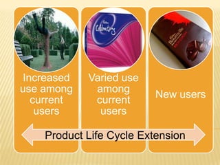 Increased   Varied use
use among    among
                          New users
  current    current
   users      users

    Product Life Cycle Extension
 