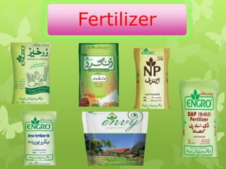 Fertilizer
 