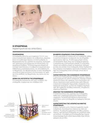 Η ΕΠΙΔΕΡΜΙΔΑ
Χαρακτηριστικά και απαιτήσεις
ΠΛΗΡΟΦΟΡΙΕΣ
Η επιδερμίδα καλύπτει μια επιφάνεια 1,5-2 m2
, ενώ
είναι το μεγαλύτερο όργανο του ανθρώπινου σώματος.
Είναι ένα αισθητήριο όργανο, το οποίο ρυθμίζει τη
θερμοκρασία και την υγρασία του σώματος, λειτουργεί
σαν προστατευτικό στρώμα και αντικατοπτρίζει την
ψυχολογική διάθεση. Τα δισεκατομμύρια δερματικά
κύτταρα προστατεύουν το ανθρώπινο σώμα από τους
παθογόνους μικροοργανισμούς, την ακτινοβολία UV,
τη θερμότητα, την αφυδάτωση και το κρύο. Αναρίθμητα
νευρικά κύτταρα συντελούν στη λειτουργία της αφής
και στην αίσθηση της θερμότητας, του κρύου και του
πόνου.
ΔΟΜΗ ΚΑΙ ΛΕΙΤΟΥΡΓΙΑ ΤΗΣ ΕΠΙΔΕΡΜΙΔΑΣ
Η επιδερμίδα αποτελείται από τρεις στιβάδες: την
επιδερμίδα, το χόριο και τον υποδόριο ιστό.
ΒΛΑΒΕΡΕΣ ΕΠΙΔΡΑΣΕΙΣ ΣΤΗΝ ΕΠΙΔΕΡΜΙΔΑ
Το κάπνισμα βλάπτει σημαντικά την επιδερμίδα, καθώς
η νικοτίνη επιταχύνει τη γήρανσή της και επηρεάζει
αρνητικά την όψη της. Το κάπνισμα μπορεί επίσης
να προκαλέσει ακμή, όπως και το πρόχειρο φαγητό,
η σοκολάτα και η κατανάλωση αλκοόλ. Η υπεριώδης
ηλιακή ακτινοβολία μπορεί να προκαλέσει πρόωρες
ρυτίδες και κηλίδες στην επιδερμίδα. Άλλοι παράγοντες
που μπορούν να επιφέρουν αρνητικές επιδράσεις στην
όψη της επιδερμίδας είναι η έλλειψη ύπνου και το
μόνιμο στρες.
ΧΑΡΑΚΤΗΡΙΣΤΙΚΑ ΤΗΣ ΚΑΝΟΝΙΚΗΣ ΕΠΙΔΕΡΜΙΔΑΣ
Η κανονική επιδερμίδα έχει συνήθως μικρούς πόρους,
καλή αιμάτωση και ρόδινη απόχρωση. Περιέχει επαρκή
ποσότητα λίπους και υγρασίας, ενώ η λειτουργία του
όξινου προστατευτικού μανδύα είναι καλή. Ιδανικά,
η κανονική επιδερμίδα παρουσιάζει ισορροπία στην
παραγωγή σμήγματος, με λεία και ελαφρώς λαμπερή
όψη. Δεν εμφανίζει συνήθως κοκκινίλες, σπυράκια ή
σημεία με ξηρότητα.
ΑΝΑΓΚΕΣ ΤΗΣ ΚΑΝΟΝΙΚΗΣ ΕΠΙΔΕΡΜΙΔΑΣ
Η ποσότητα λίπους και υγρασίας της επιδερμίδας,
καθώς και η παραγωγή σμήγματος παρουσιάζουν
ισορροπία. Τα κατάλληλα προϊόντα περιποίησης
φροντίζουν ώστε η επιδερμίδα να παραμένει λεία και
απαλή.
ΧΑΡΑΚΤΗΡΙΣΤΙΚΑ ΤΗΣ ΛΙΠΑΡΗΣ ΚΑΙ ΜΙΚΤΗΣ
ΕΠΙΔΕΡΜΙΔΑΣ
Η ζώνη Τ (μέτωπο, μύτη, πηγούνι) εμφανίζει συχνά
λιπαρότητα, διεσταλμένους πόρους και τάση για
ατέλειες. Τα μάγουλα εμφανίζουν συνήθως μικρούς
πόρους, σχετικά ξηρή επιδερμίδα και μικρότερη τάση
για ατέλειες. Η λιπαρή-μικτή επιδερμίδα έχει συχνά
ανομοιόμορφη δομή, αλλά παρουσιάζει λίγες λεπτές
γραμμές και ρυτίδες.
επιδερμίδα
(επιφανειακή
κεράτινη στιβάδα)
ιδρωτοποιοί
αδένες
σμηγματογόνοι
αδένες
αιμοφόρα αγγεία
θύλακας τρίχας
δερμίδα
(χόριο)
υποδόριος ιστός
(κατώτερη στιβάδα
με λιποκύτταρα)
 