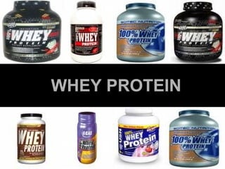 WHEY PROTEIN 