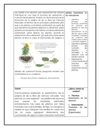 Les pediré a los alumnos que representen de manera
individual en una hoja el proceso de respiración y
nutrición de las plantas. Podrán ver dicho proceso en la
ilustración de la página 54 de su libro de Ciencias
Naturales. Al término de la actividad cuestionaré: ¿Por
qué a las plantas se les llama autótrofas?, ¿A partir de
que elementos las plantas elaboran su alimento?, ¿Qué
pasaríacon las plantas si lesfaltara unode los elementos
anteriores?, ¿Qué liberan las plantas durante la
elaboración de su alimento?, ¿En qué estructuras de las
plantas se lleva a cabo el intercambio de oxígeno y
dióxido de carbono? Dichas preguntas tendrán que
contestarlas en su cuaderno.
- Proceso de nutrición y respiración de las plantas.
plantas basándose en
los indicadores:
- Identifica el
proceso de
Nutrición autótrofa
en plantas: en
general en que las
plantas
aprovechan la luz
del Sol, agua, sales
minerales y dióxido
de carbono del
medio para nutrirse
y producir oxígeno.
- Identifica distintas
formas de
nutrición de
plantas y
animales y su
relación con el
medio natural.
- Representa
correctamente el
proceso de
nutrición y
respiración de las
plantas.
Cierre:
Continuaremos realizando el experimento de la
página 52 de su libro de ciencias naturales “Las
plantas: un caso especial”. Les pediré a los alumnos
que saquen los materiales solicitados
anteriormente: tres vasos de plástico con tierra
húmeda y las nueve semillas de frijol. La consigna a
realizar es que coloquen tres semillas en cada uno
de los vasos, agreguen diariamente dos
cucharadas de agua a cada vaso para mantener
¿Qué y cómo se
evalúa?
 Técnica:
Desempeño de los
alumnos.
 Instrumento:
Productos de los
alumnos.
(Experimento)
 