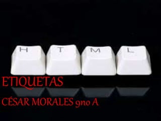 ETIQUETAS 
CÉSAR MORALES 9no A 
 