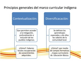 marcos curriculares para la educación indígenaas   