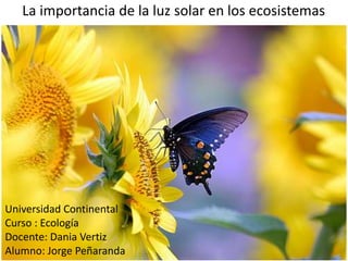 La importancia de la luz solar en los ecosistemas
Universidad Continental
Curso : Ecología
Docente: Dania Vertiz
Alumno: Jorge Peñaranda
 