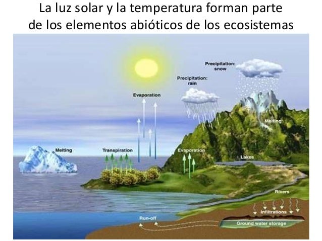 Producto académico