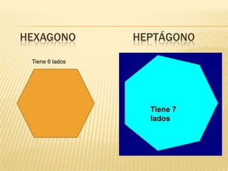 HEXAGONO              HEPTÁGONO
 Tiene 6 lados      TIENE SEIS LADOS




                         Tiene 7
                         lados
 