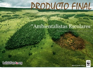 PRODUCTO FINAL
““Ambientalistas Escolares”
           MARGARITA SALAZAR GAONA
 