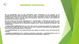 REFERENTE CONTEXTUAL

En la actualidad uno de los problemas más relevantes en el mundo es la
contaminación del medio ambiente, esto se debe a la forma tan discriminada que el
hombre le ha dado mal uso de los recursos tanto renovables como no renovables de
la naturaleza y que a raíz de este mal proceder cada día se hace más latente la
destrucción de nuestro planeta.
Por tal razón es de suma importancia ir comenzando a intentar de resolver este
problema; existen diversas alternativas y una de ellas es la lombricultura, que se
encarga de la limpieza de los desechos orgánicos del suelo utilizando la lombriz roja
californiana.
- Lombriz Roja Californiana: Es de color rojo oscuro, respira por medio de su piel, mide
de seis (6) a ocho (8) cm de largo, de tres (3) a cinco (5) milímetros de diámetro y
pesa hasta aproximadamente 1,4 gramos.

- La Lombricultura: Es una biotecnología que utiliza la lombriz como herramienta de
trabajo.
- Productos Orgánicos: Son aquellos productos agrícolas o agroindustriales que se
producen bajo un conjunto de procedimientos denominados orgánicos.

 