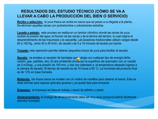 RESULTADOS DEL ESTUDIO TÉCNICO (CÓMO SE VA A
DESCRIPCIÓN DEL PROCESO
LLEVAR A CABO LA PRODUCCIÓN DEL BIEN O SERVICIO)  
Recibo y selección: la yuca fresca se recibe en sacos que se pesan a su llegada a la planta.
Se eliminan aquellas raíces con podredumbre o coloraciones extrañas.

Lavado y pelado: este proceso se realiza en un tambor cilíndrico donde las raíces de yuca
reciben la presión del agua, la fricción de las raíces y de la lámina del tambor, lo cual origina el
desprendimiento de las impurezas y la cascarilla. Las lavadoras tradicionales utilizan cargas desde
80 a 150 Kg., entre 30 a 45 l/min. de caudal y de 5 a 15 minutos de lavado por bache.

Trozado: esta operación permite obtener pequeños trozos de yuca para facilitar el secado.

Secado: se emplea un secador de bandejas que trabaja con cualquier tipo de energía (leña,
carbón, gas, petróleo, etc). El aire ambiental circula por la superficie del quemador con un caudal
de 3 m3/seg., y una presión de 100 mm, y una vez calentado a la temperatura deseada ingresa a
la cámara de secado. El tiempo de secado es de 10 horas a 65 °C. La humedad del producto final
es de 12% en base húmeda.

Molienda: los trozos secos se muelen con un molino de martillos para obtener el harina. Esta se
debe tamizar para separar gránulos gruesos y ya queda lista para empacar.

Empaque: el empaque se hace en bolsas y sacos de plástico y papel.

Almacenamiento: la bodega de almacenamiento debe ser muy seca porque la harina fácilmente
absorbe humedad.
 