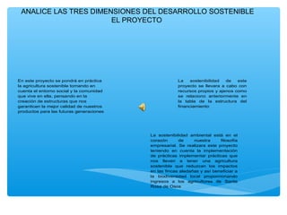 ANALICE LAS TRES DIMENSIONES DEL DESARROLLO SOSTENIBLE
                       EL PROYECTO




En este proyecto se pondrá en práctica                La    sostenibilidad  de   este
la agricultura sostenible tomando en                  proyecto se llevara a cabo con
cuenta el entorno social y la comunidad               recursos propios y ajenos como
que vive en ella, pensando en la                      se relaciono anteriormente en
creación de estructuras que nos                       la tabla de la estructura del
garanticen la mejor calidad de nuestros               financiamiento
productos para las futuras generaciones




                                          La sostenibilidad ambiental está en el
                                          corazón      de     nuestra     filosofía
                                          empresarial. Se realizara este proyecto
                                          teniendo en cuenta la implementación
                                          de prácticas implementar prácticas que
                                          nos lleven a tener una agricultura
                                          sostenible que reduzcan los impactos
                                          en las fincas aledañas y así beneficiar a
                                          la biodiversidad local proporcionando
                                          ingresos a los agricultores de Santa
                                          Rosa de Osos
 