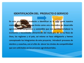 IDENTIFICACIÓN DEL  PRODUCTO O SERVICIO

En  este  proyecto  el  producto  a  identificar  es  la  yuca  como  nuestra 
materia prima principal que brota como una alternativa de desarrollo 
agroindustrial  competitivo  y  sostenible  que  nos  permite  fortalecer  la 
economía  y  necesidades  alimenticias  del  municipio  de  Santa  Rosa  de 
Osos,  las  regiones  y  el  país,  así  mismo  se  hace  obligatorio  y  hemos 
conceptuado los integrantes de este proyecto;  introducir procesos de 
siembra y cosechas, con el afán de  elevar los niveles de competitividad 
que son solicitados en los procesos agroindustriales.
 