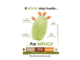 M.A. Alicia de la Peña de León
 