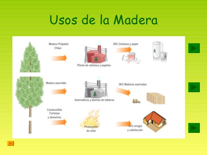 Producto natural renovable la madera.pps